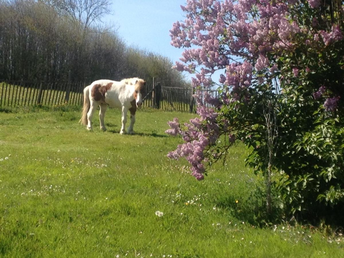 My Little Sweet Home Colombe (Isere) Exterior foto